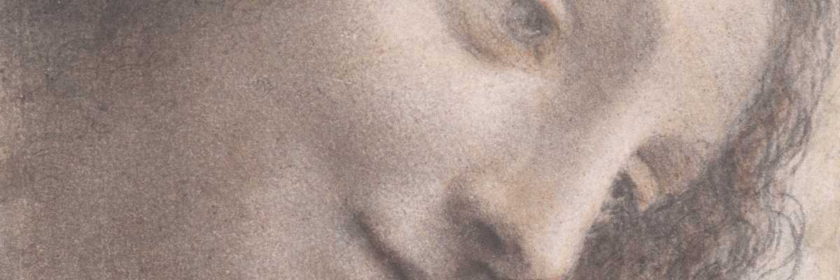 Volto di donna, Leonardo da Vinci — (Metropolitan Museum of New York)