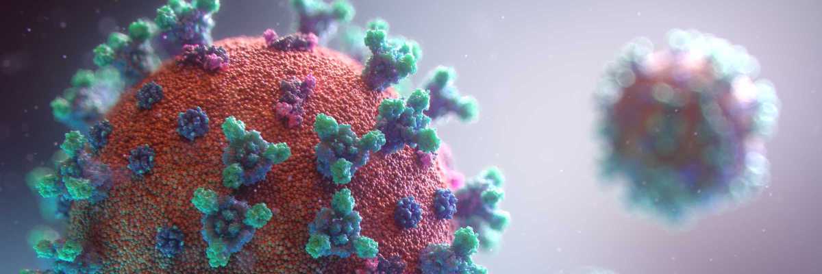 New visualisation of the Covid-19 virus (Fusion Medical Animation, Unsplash)