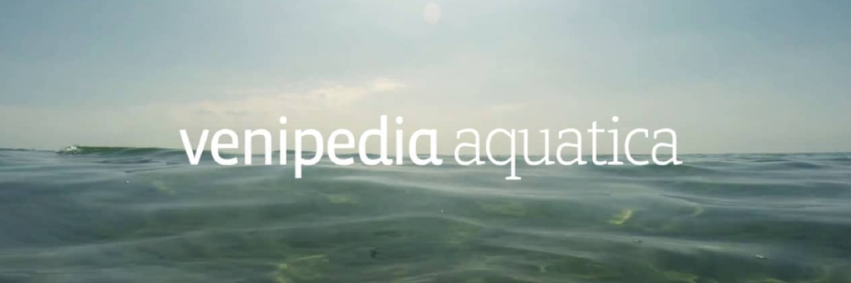 Venipedia Aquatica