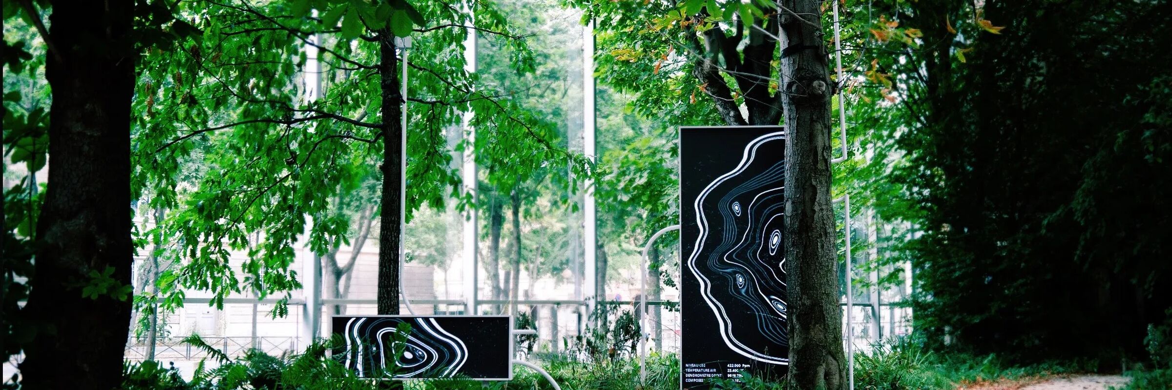 Photograph of Thijs Biersteker's art installation, Symbiosia, of screens near trees showing tree rings on black and white images.