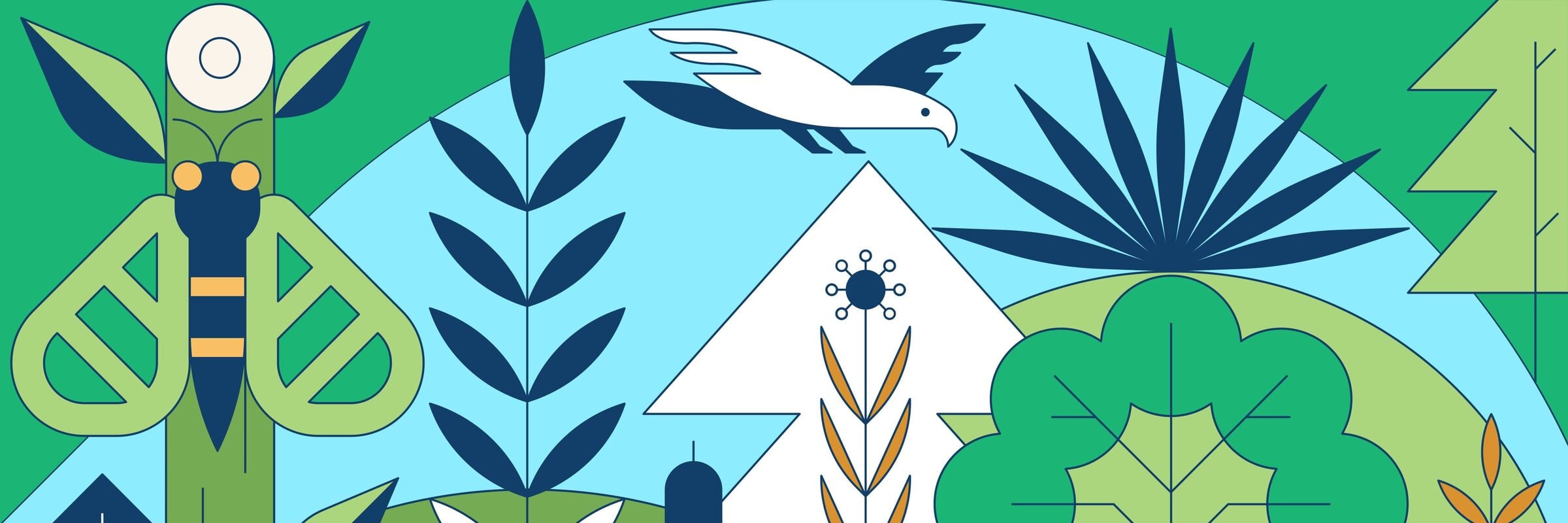 Illustrazione a colori che illustra una varietà di animali e piante