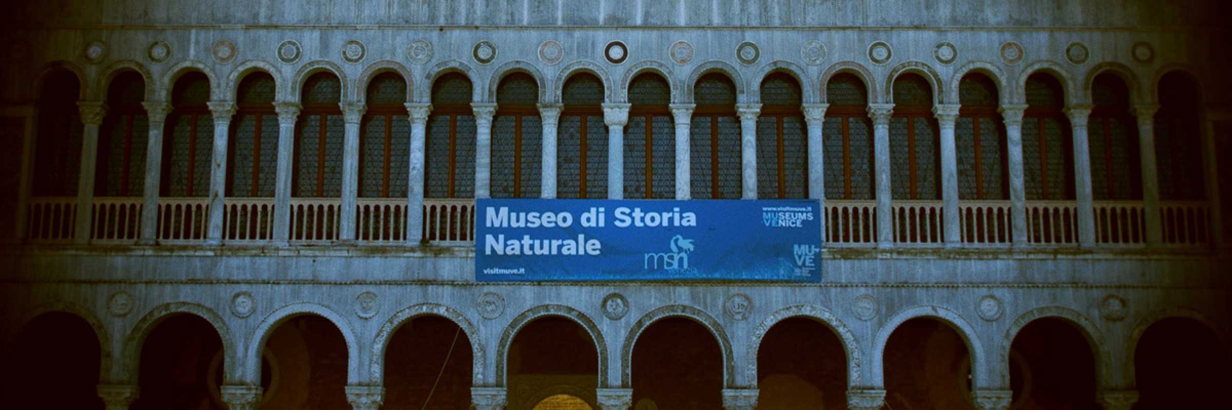 La facciata del Fontego dei Tedeschi, la sede del Museo di Storia Naturale.