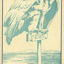 Foto cover