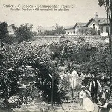 Foto cover