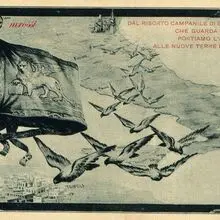 Foto cover