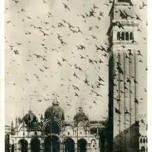 Foto cover