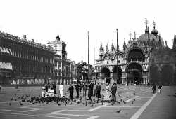 Momenti di vita in Piazza San Marco, il Salotto dei veneziani.